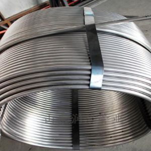 不銹鋼盤(pán)管